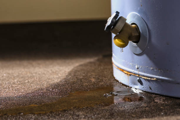 Best Ceiling water damage repair  in Dixon, MO