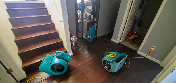 Best 24/7 water damage repair  in Dixon, MO