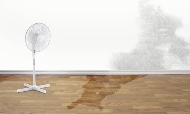  Dixon, MO Water damage restoration Pros