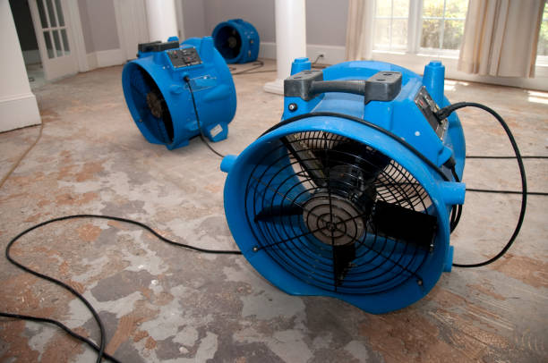 Best Local water damage restoration  in Dixon, MO