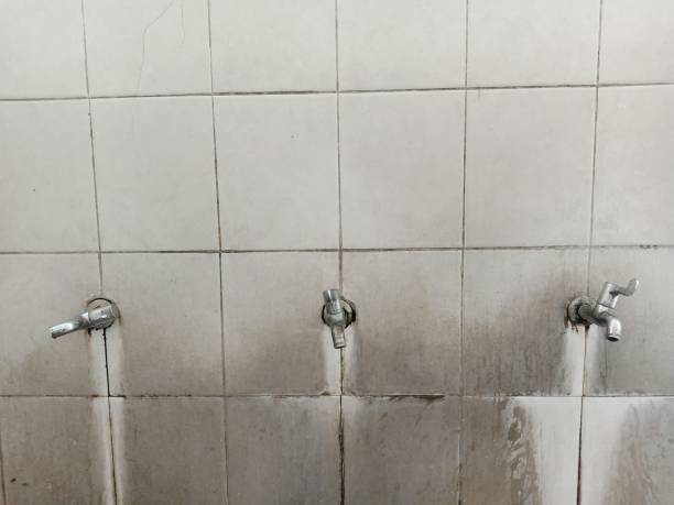 Best Residential water damage restoration  in Dixon, MO