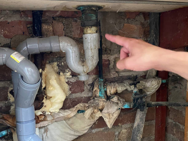Best Water damage restoration mold remediation  in Dixon, MO